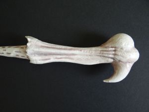 handle of the Voldemort wand