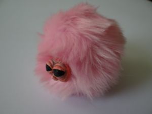 pink pygmy puff