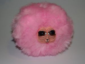 giant pygmy puff giant pygmy puff