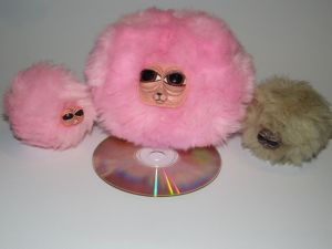 pygmy puff comparison