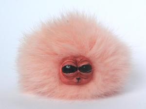 new pygmy puff