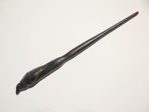 Raven wand